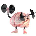 La verdad sobre tu cerebro, blog portada
