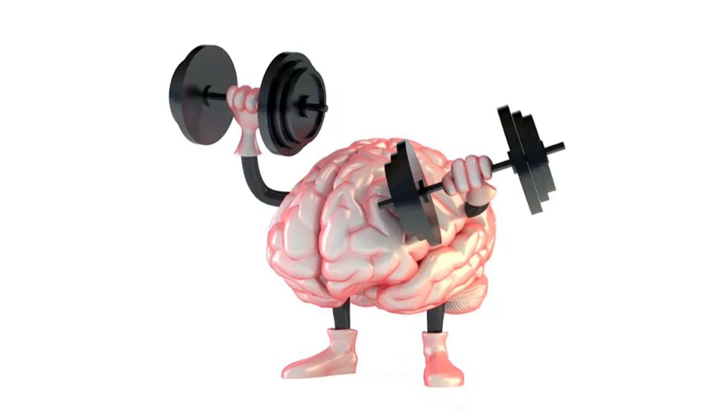 La verdad sobre tu cerebro, blog portada