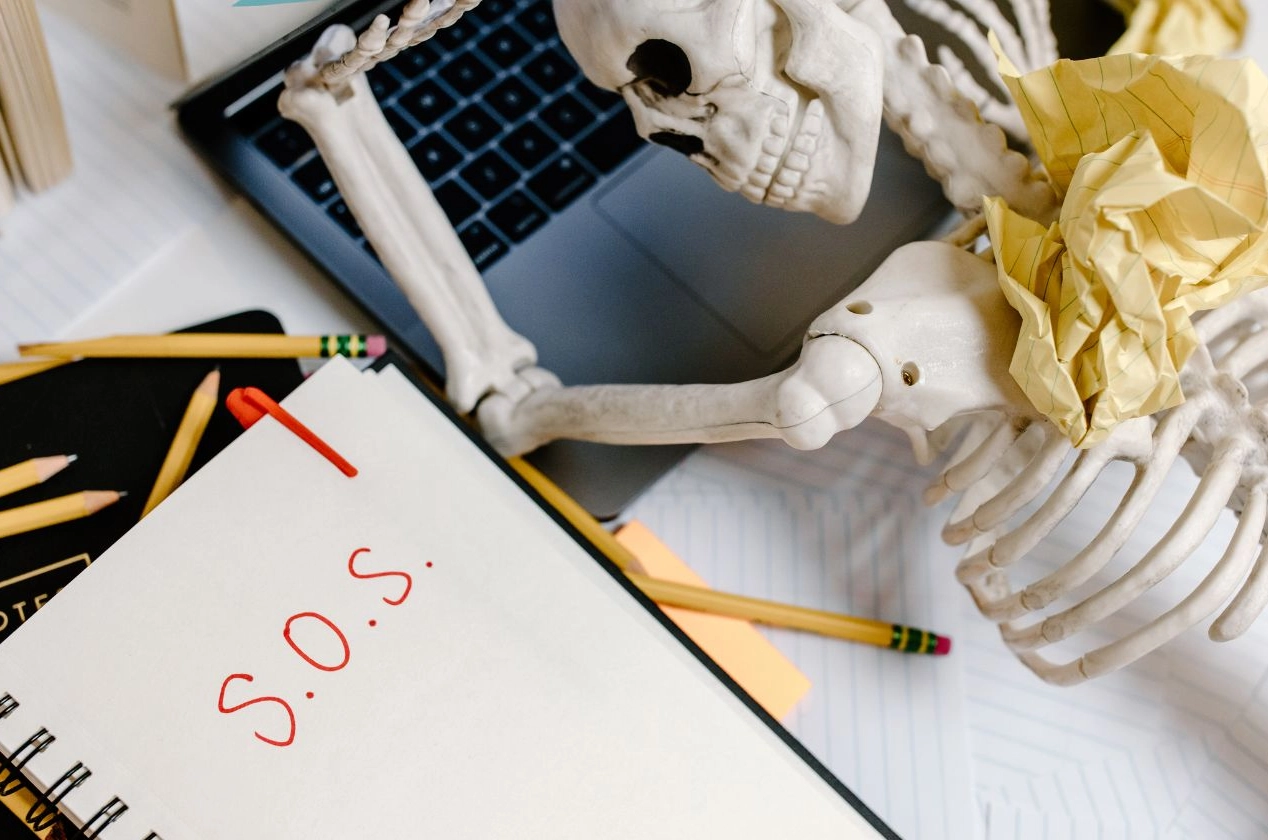 Blog Haz lo que amas imagen de portada