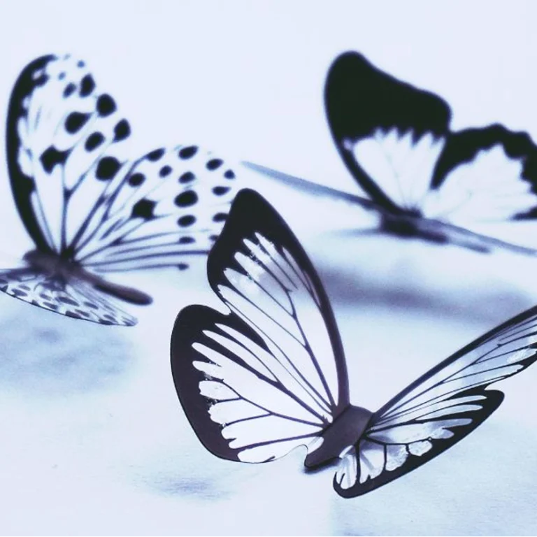 La historia de una mariposa: su R-evolución - Portada